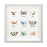 Metamorphosis #1